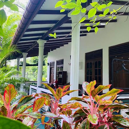 The Jungle Path Lodge Sigiriya Exterior foto