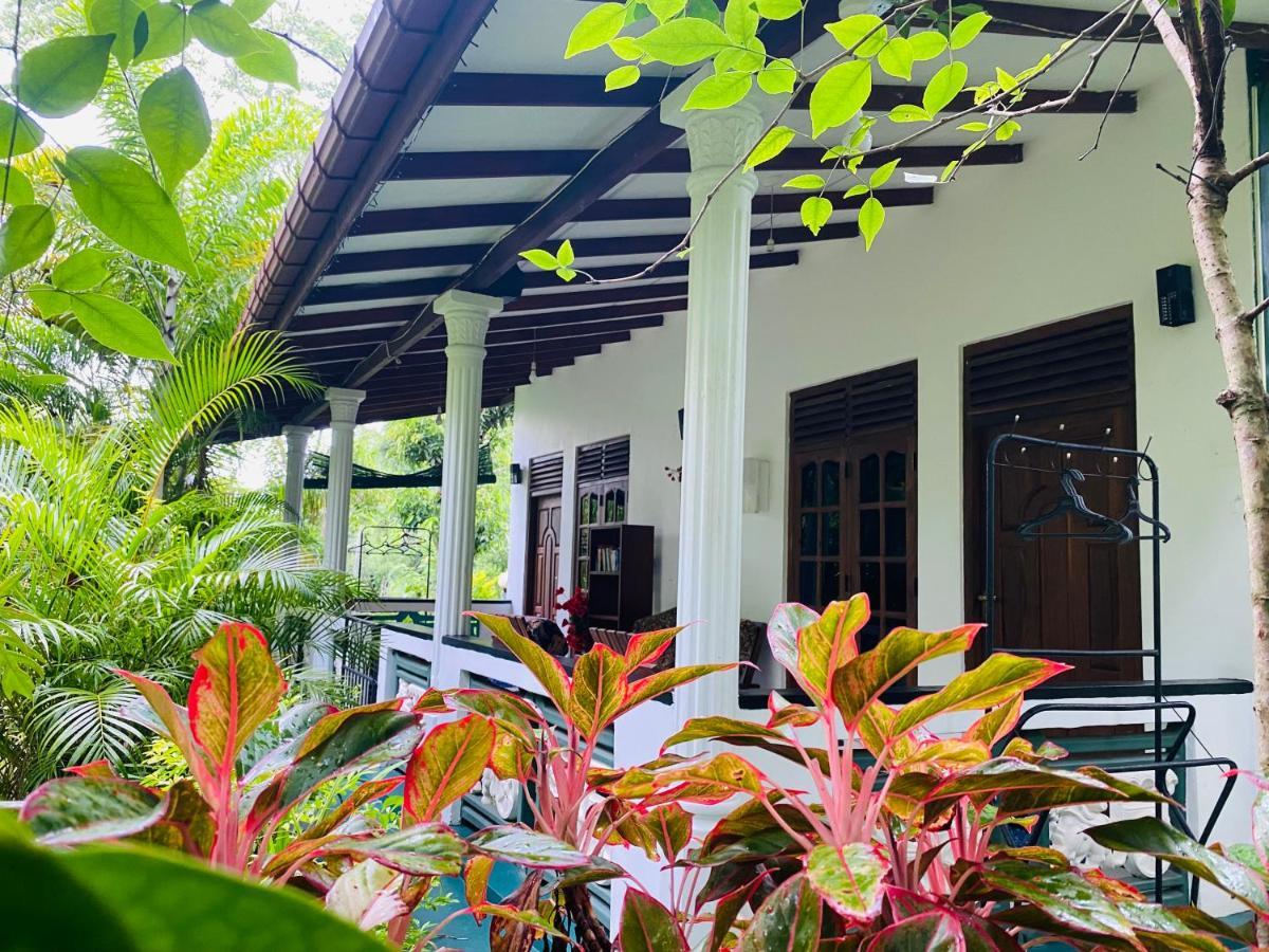 The Jungle Path Lodge Sigiriya Exterior foto