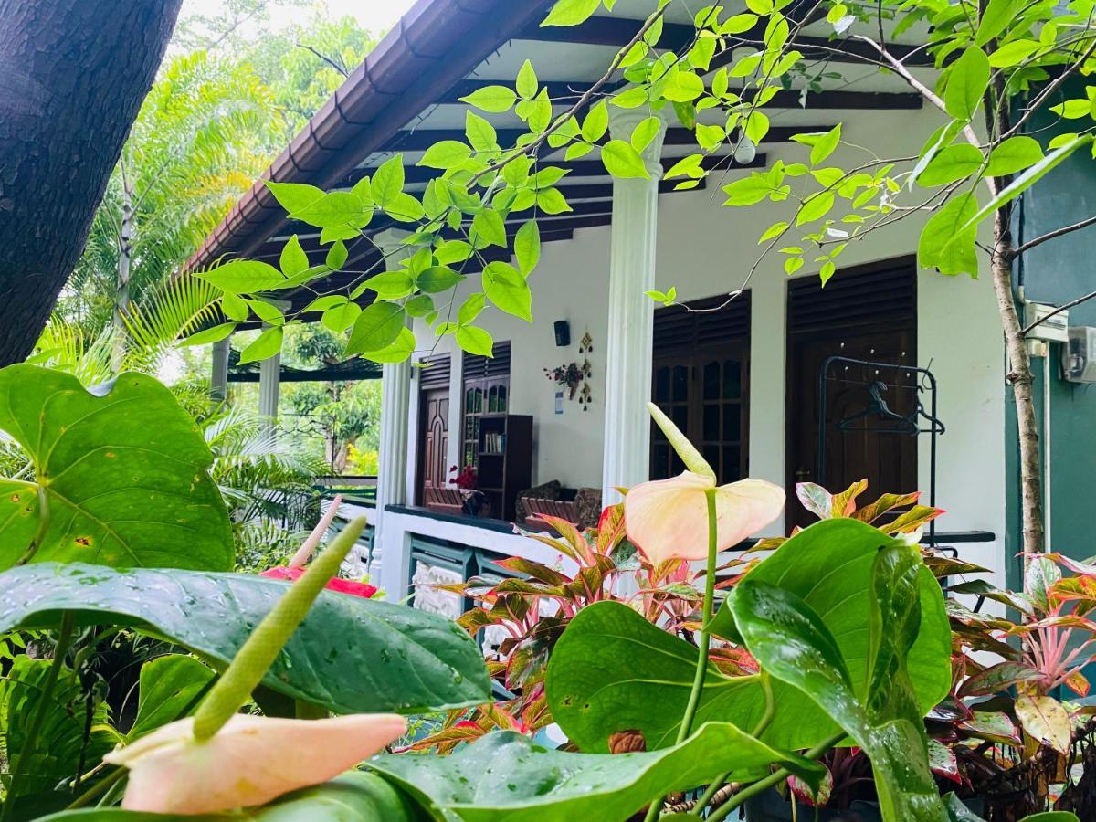The Jungle Path Lodge Sigiriya Exterior foto